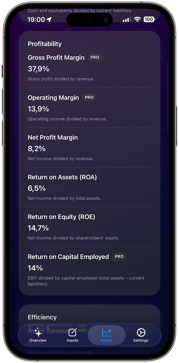 financial-ratios screenshot 6